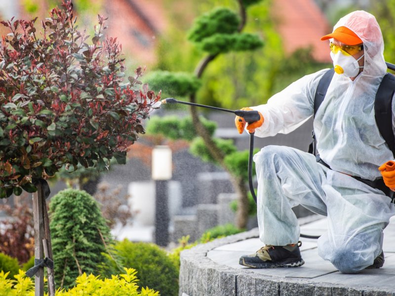 Küçükyalı Haşere İlaçlama