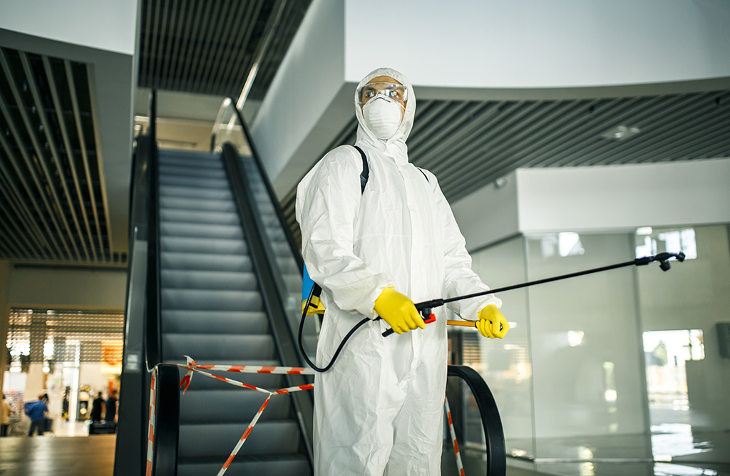 Küçükyalı Haşere İlaçlama